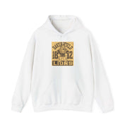 Football Lion unisex Heavy Hoodie Sweatshirt